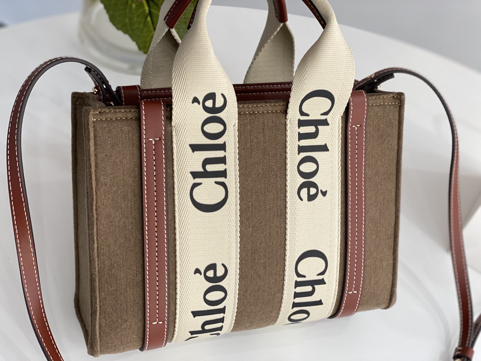 Chloe Small Woody Tote Bag In Linen